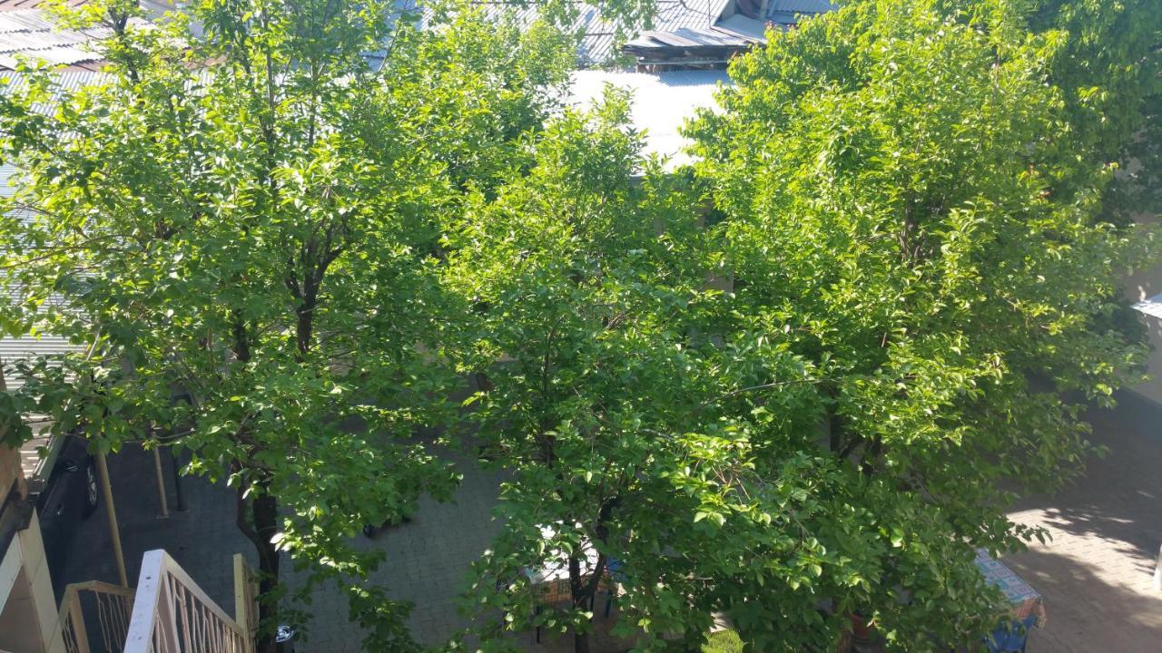 Gulnara Guesthouse Ташкент Экстерьер фото